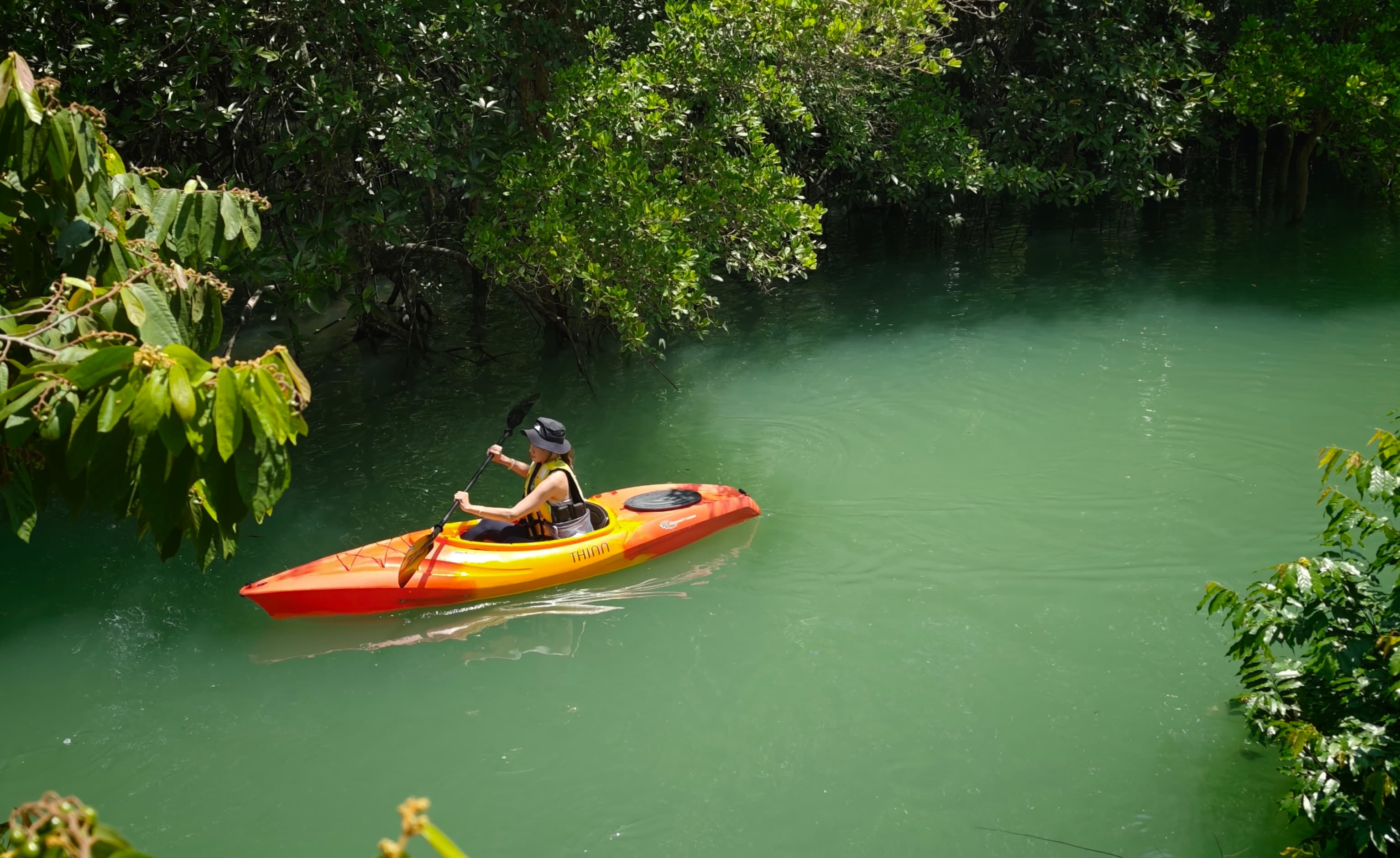Phuket Mangrove Kayaking